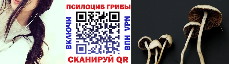 Псилоцибиновые грибы Cubensis  Остров 
